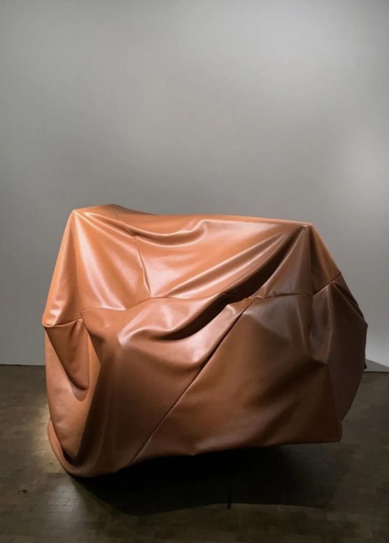 被罩子遮住的艺术品