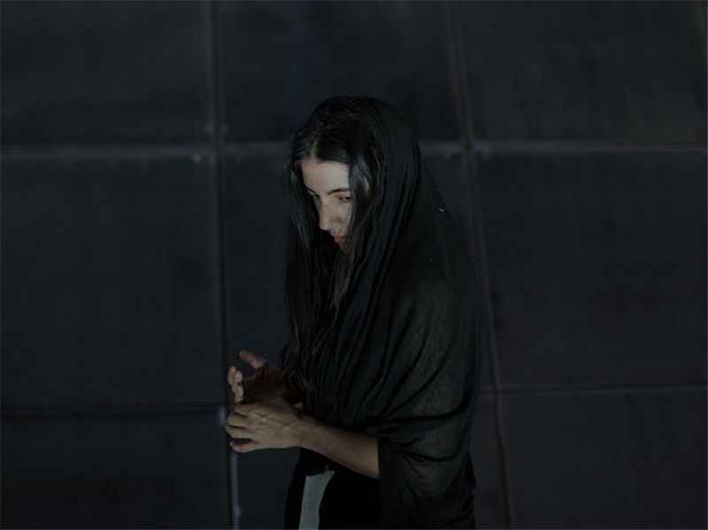 《The Wasp Factory》